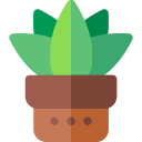 Planta icon