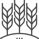 plantas icon