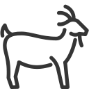 animal icon