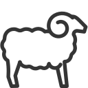 animal icon