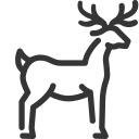 animal icon