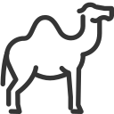 animal icon