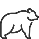 animal icon