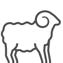 animal icon