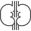 organ icon