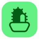 cactus icon