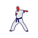 karaté icon