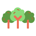 naturaleza icon