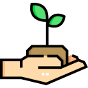 Sprout icon