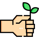 Sprout icon