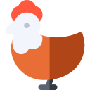 Pollo icon