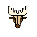 animal icon