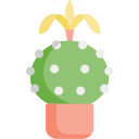 Cactus icon