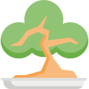 Bonsai icon