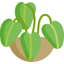 Planta icon