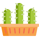 Cactus icon