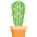 Cactus icon