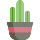 Cactus icon