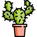 Cactus icon