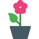 flor 