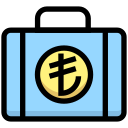 dinero icon