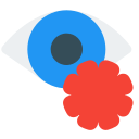 ojo icon