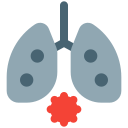 pulmones icon