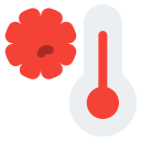 temperatura icon