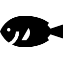 pescado