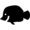 pescado icon