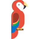 guacamayo