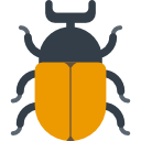Beetle