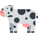 vaca