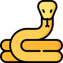 Serpiente icon