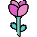 rosa icon