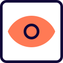 ojo icon