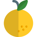 fruta icon