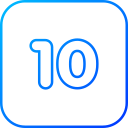 numero 10 icon