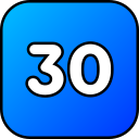 numero 30 icon