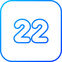 número 22 icon