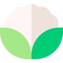 Couve-flor