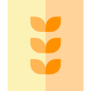 Cereals 