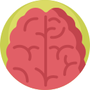 Cerebro icon