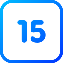 numero 15 icon