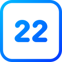 número 22 icon