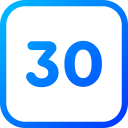 numero 30 icon