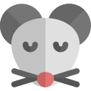 ratón icon