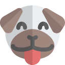 animal icon