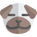 animal icon