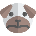 animal icon